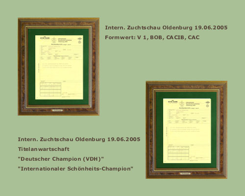  Internationale Zuchtschau Oldenburg
