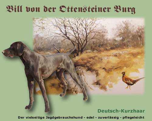 DK-Jungr�de - Bill von der Ottensteiner Burg